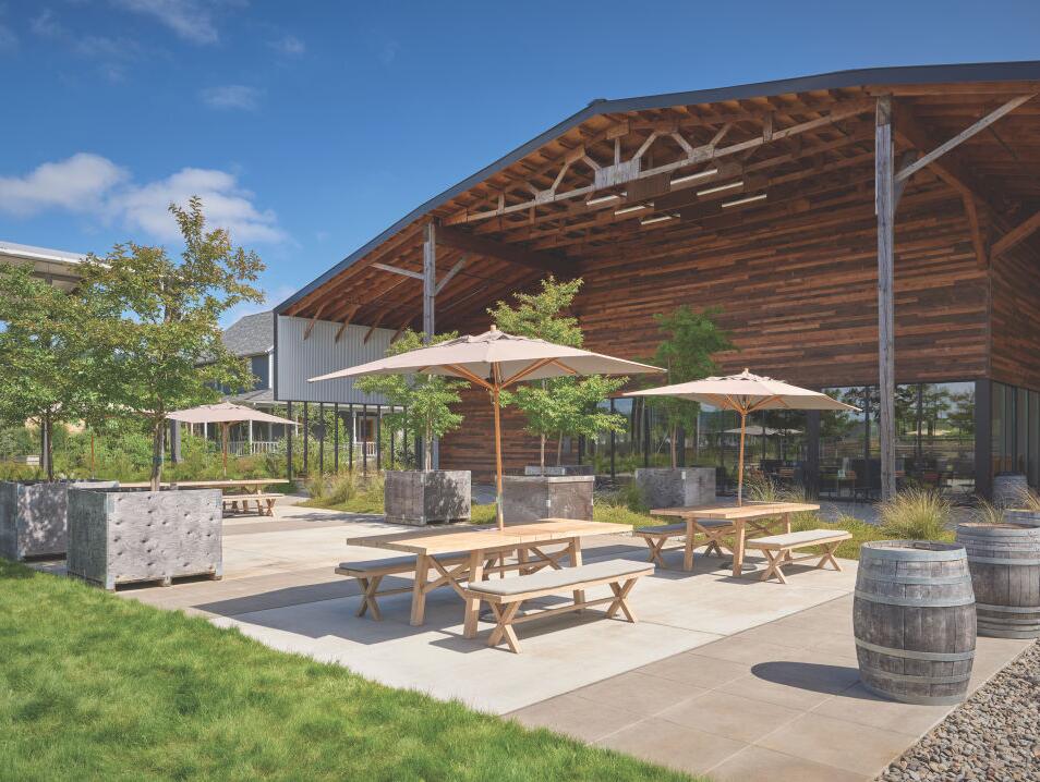 Picture of Arglye Winery