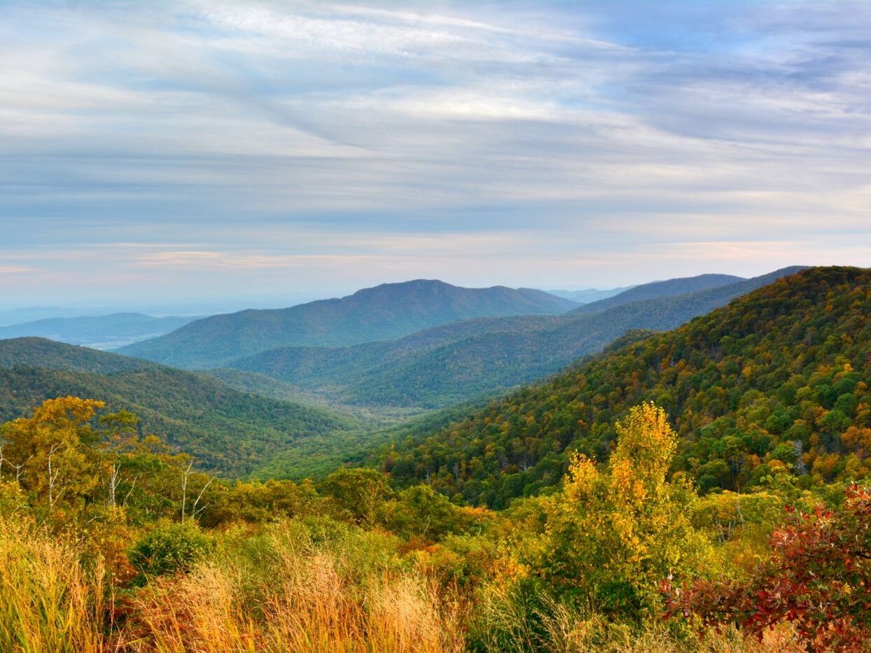 Picture of Shenandoah National Park