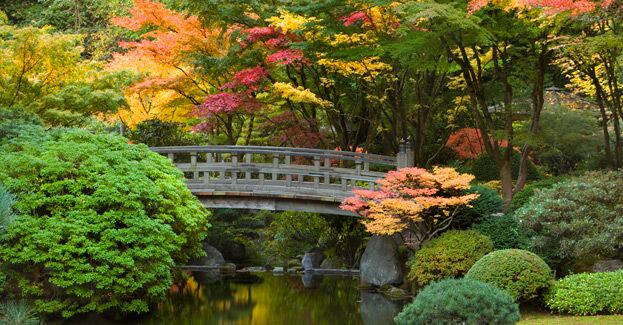 Picture of Portland Japanese Garden
