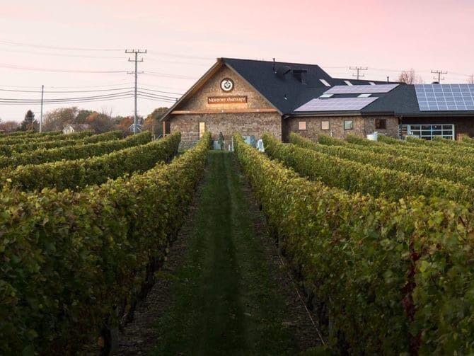Picture of Newport Vineyards & Restaurant