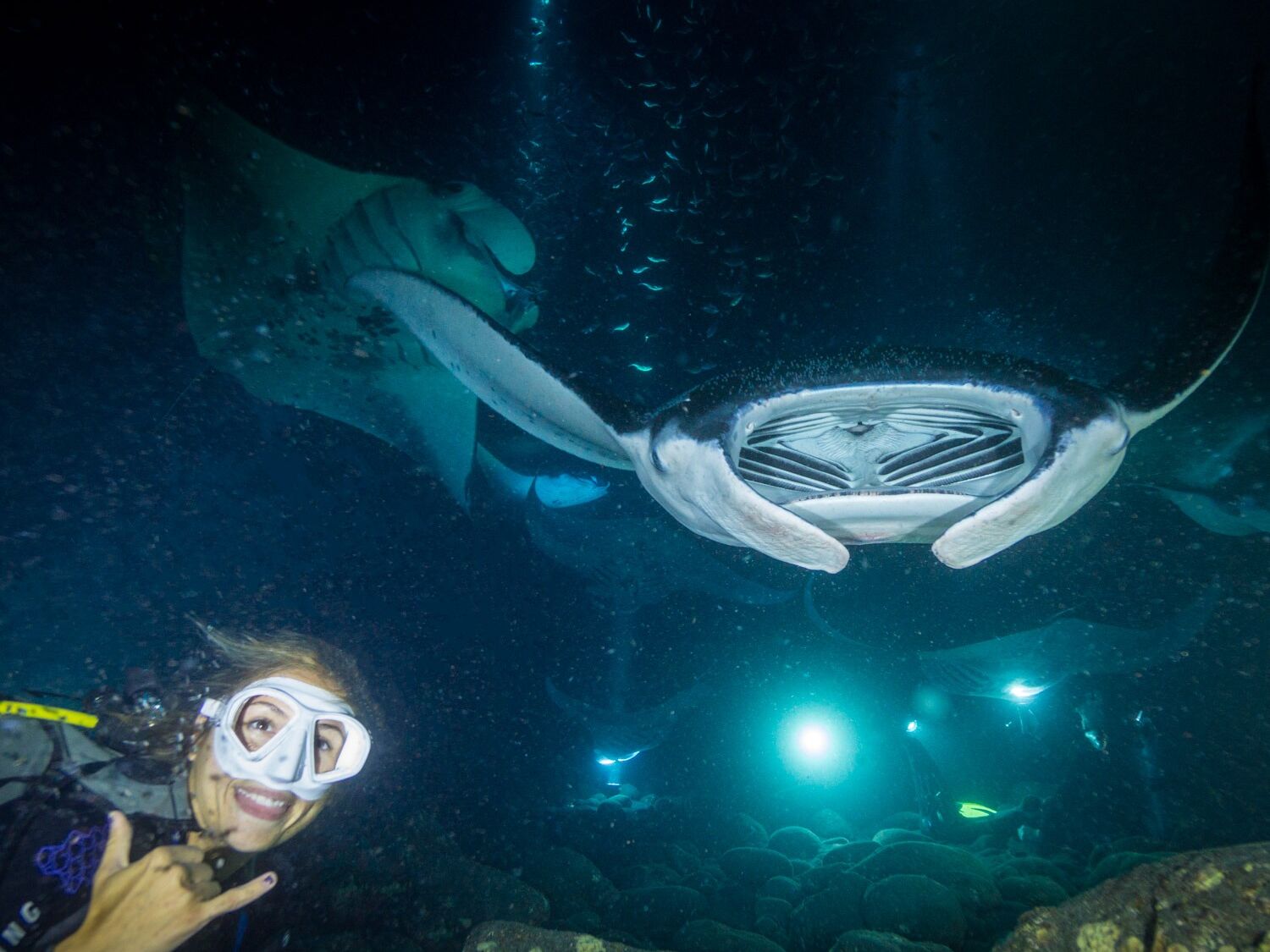 Picture of Manta Ray Dives of Hawai‘i
