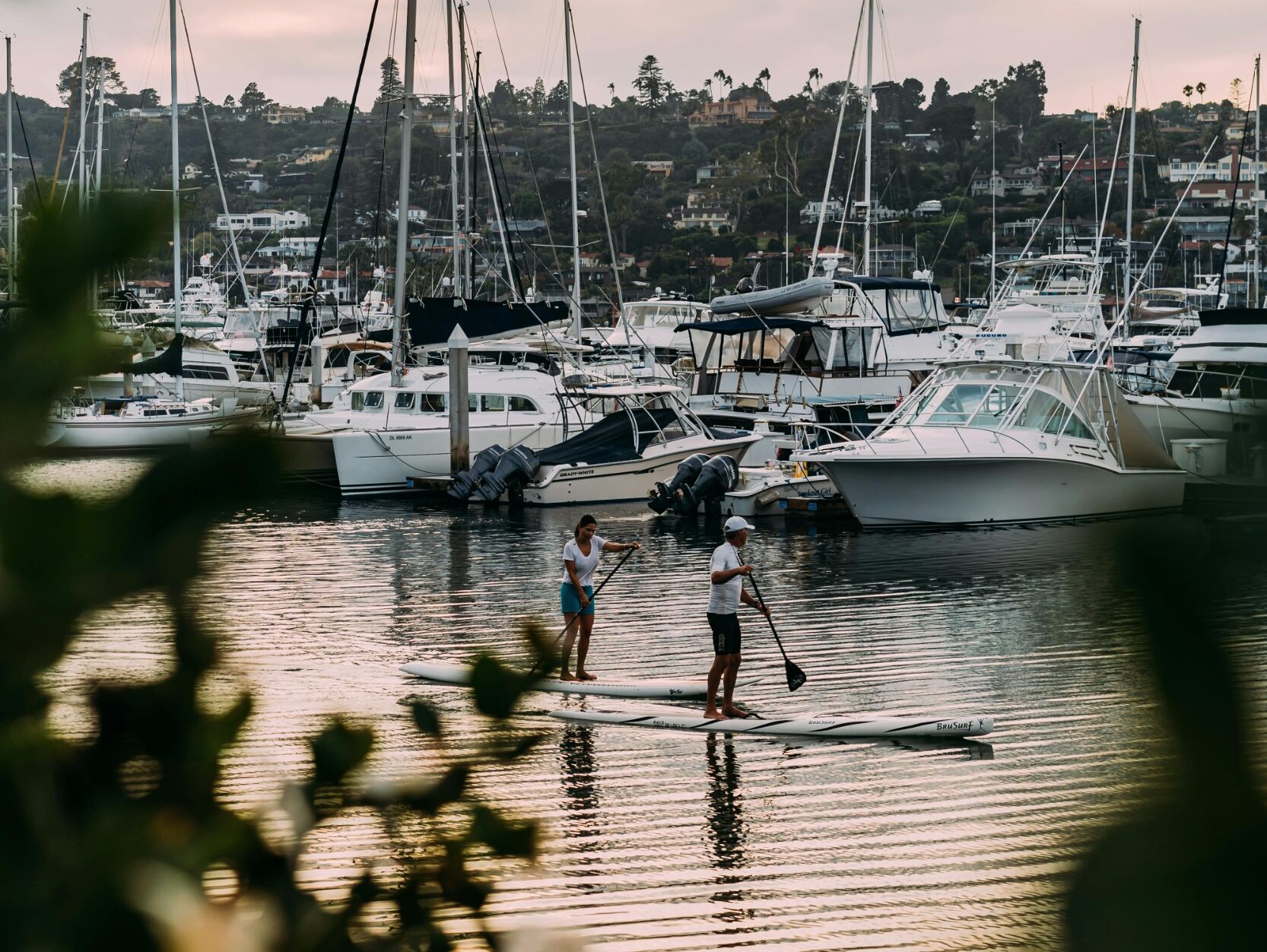 Picture of Activities - The Marina at Brentwood Bay Resort