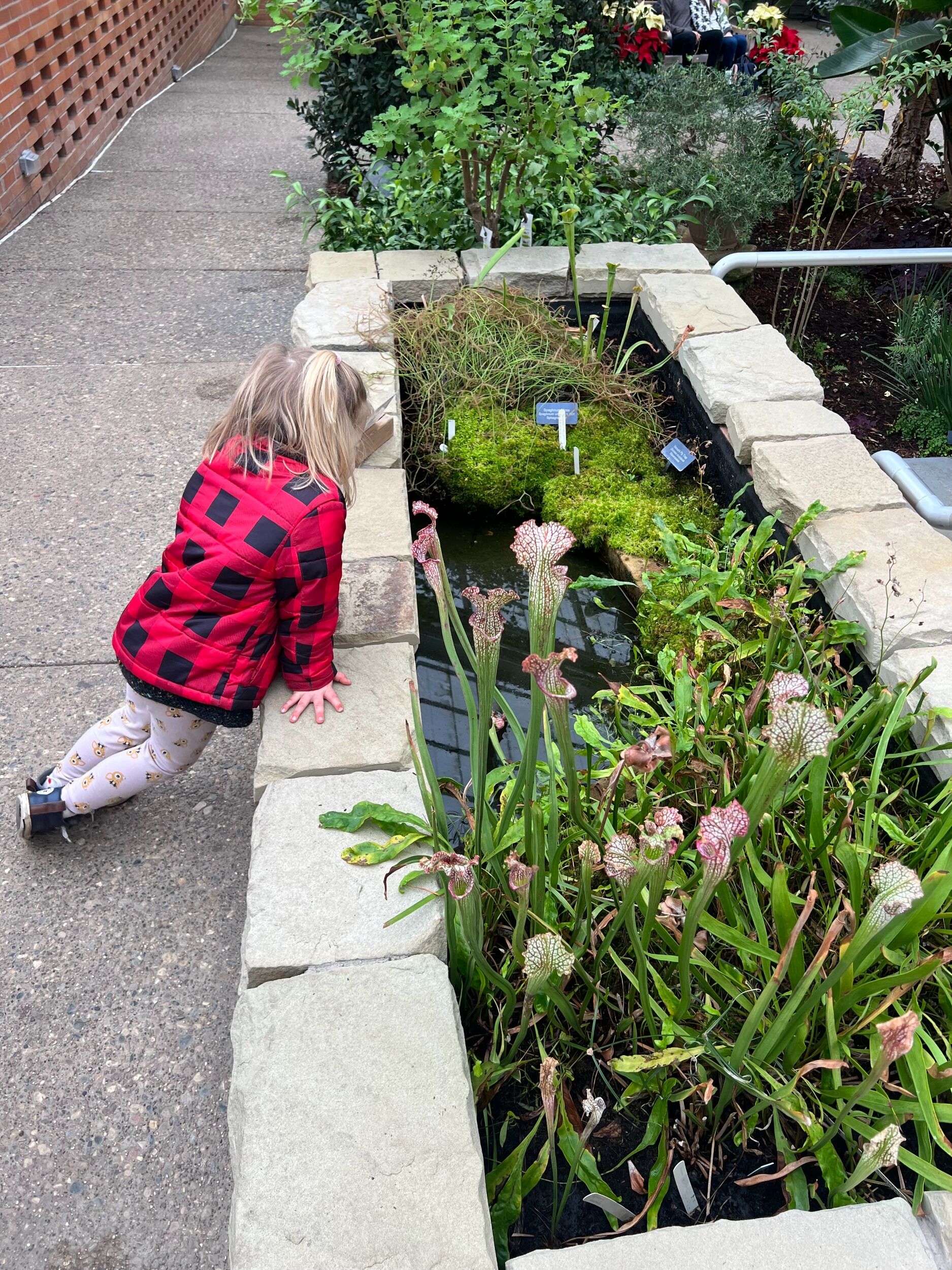 Picture of Matthaei Botanical Gardens