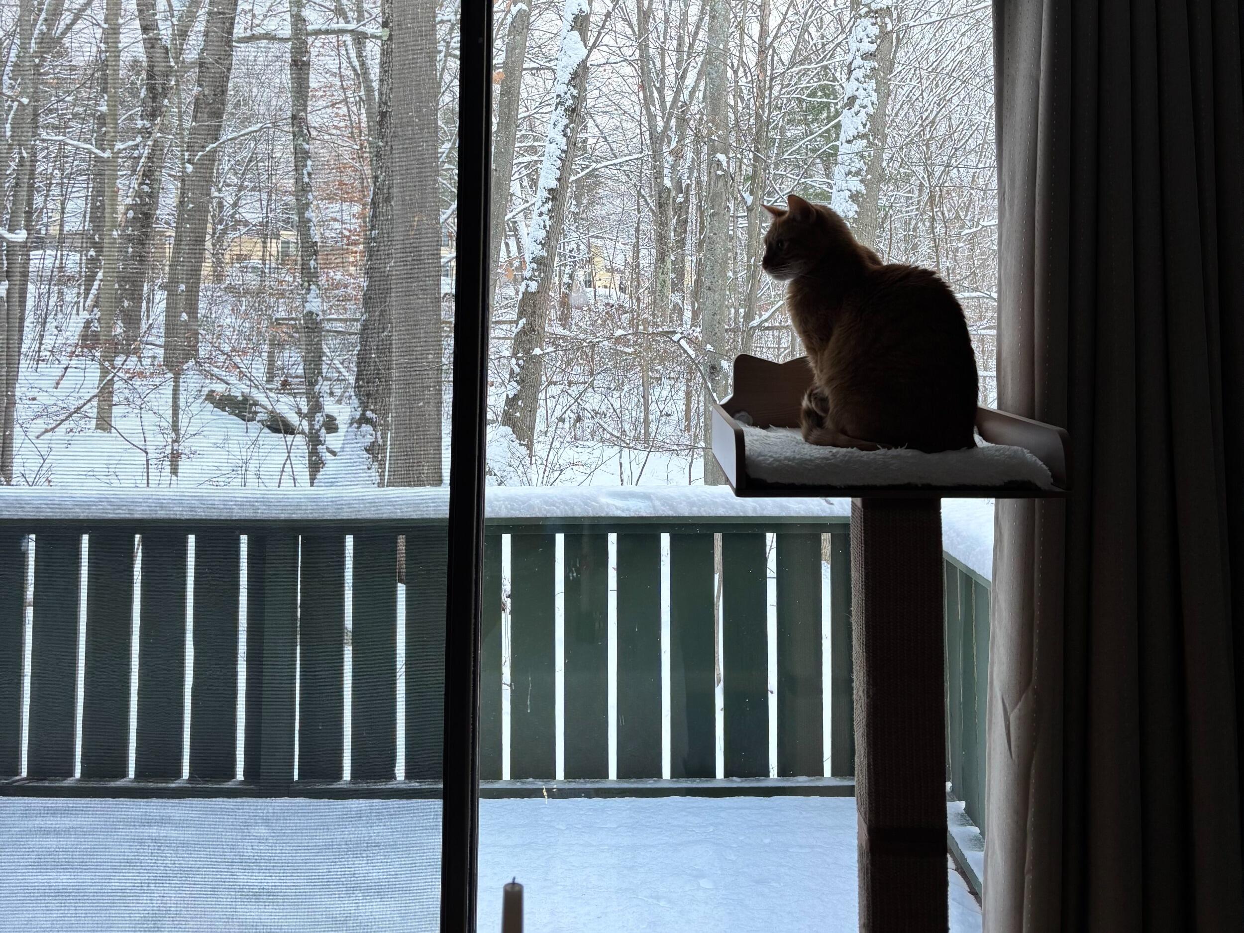 Have been surviving our first New England weather together in many years...Stay tuned!