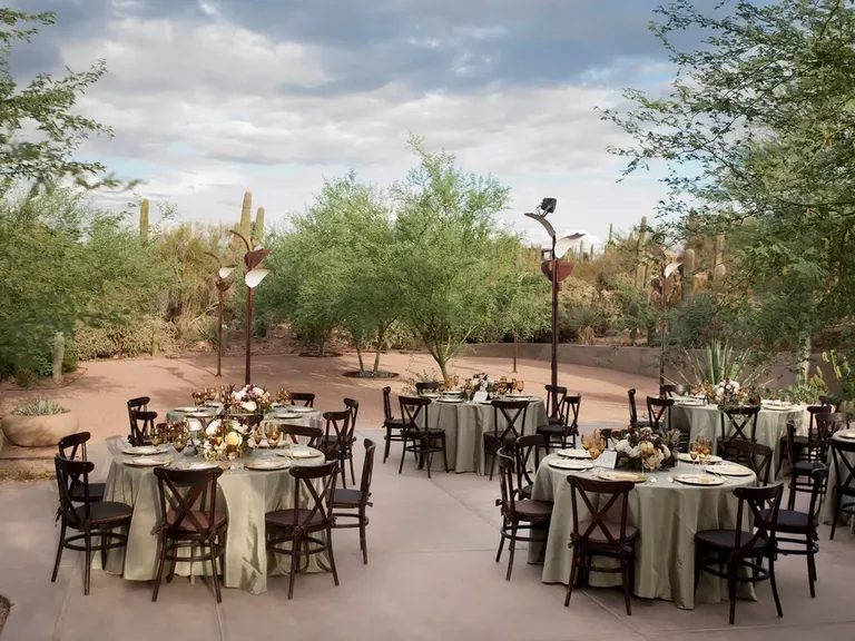 Desert Botanical Garden