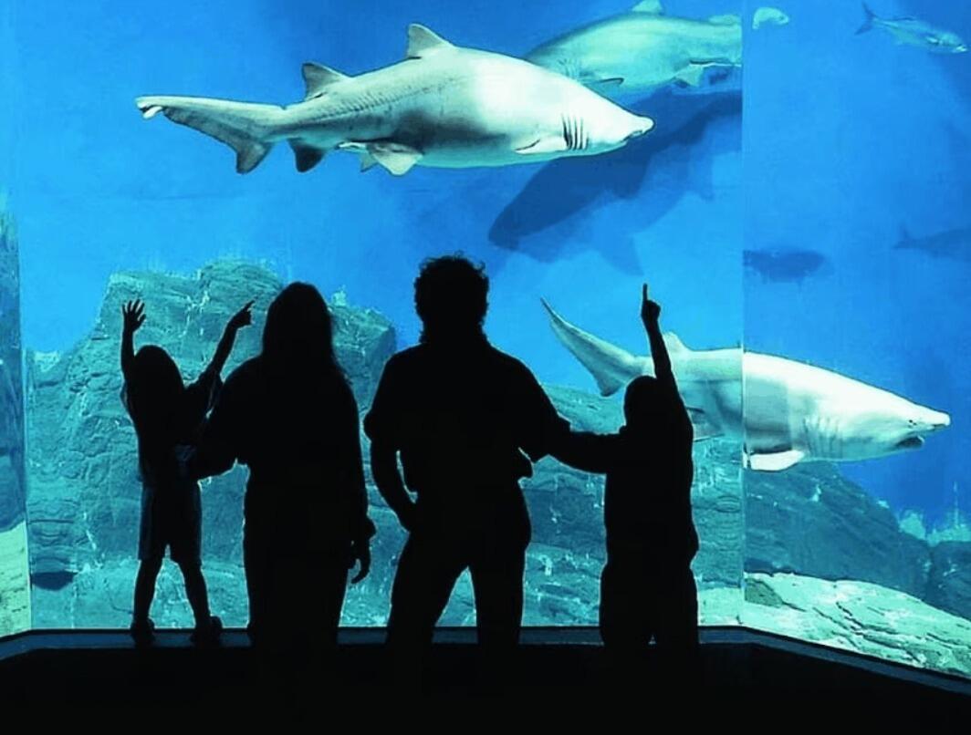 Picture of Visit The Maritime Aquarium at Norwalk