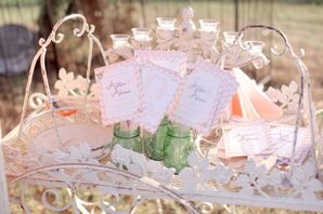 Chevron Blush Ceremony Program Fans