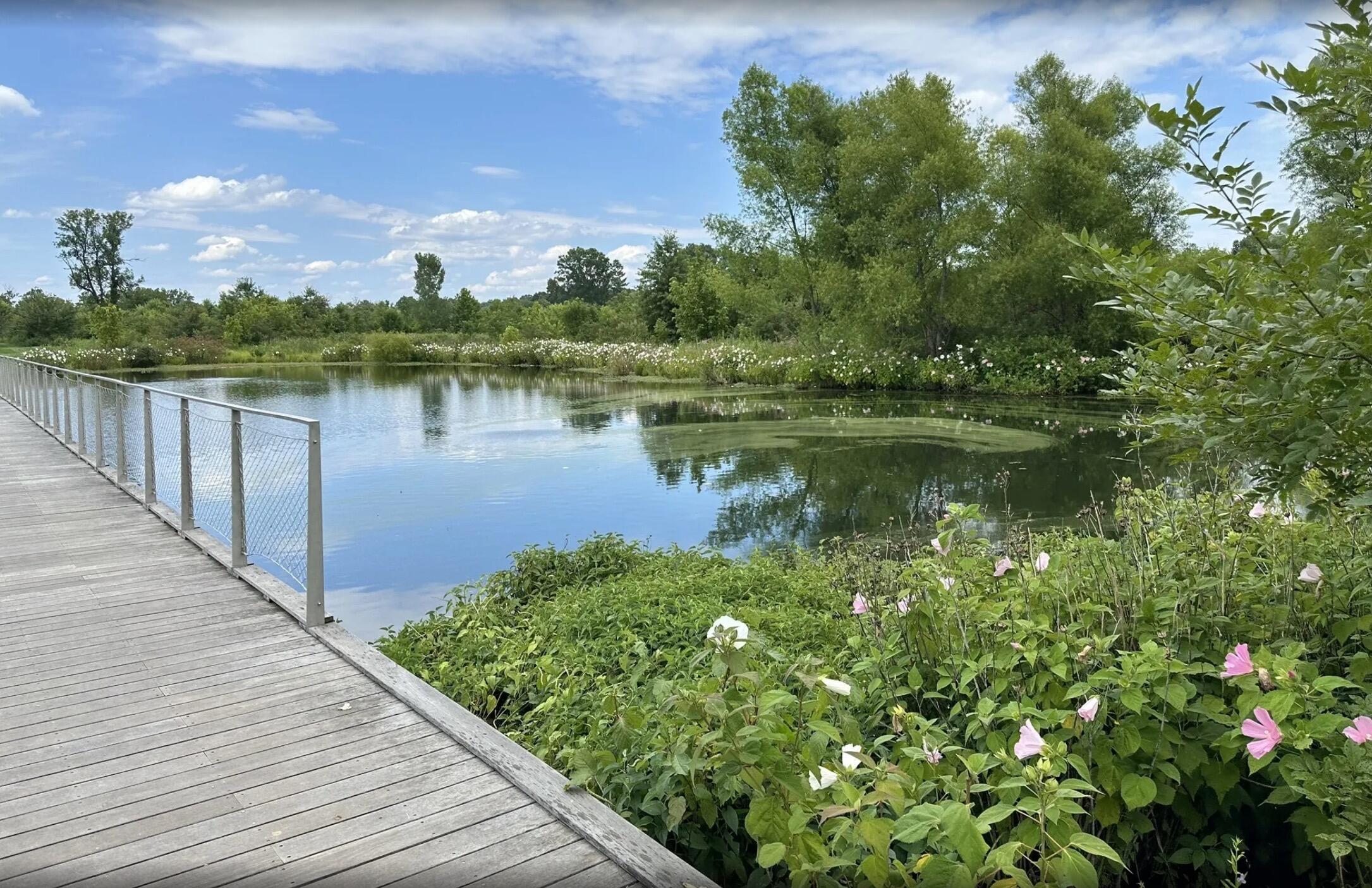 Picture of Beckley Creek Park