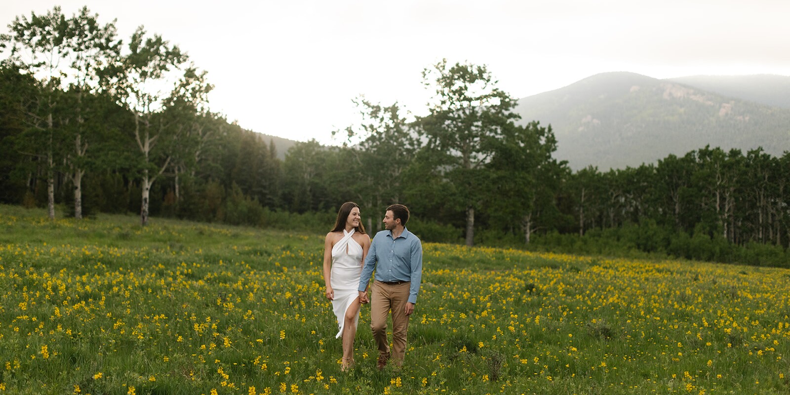 Taylor & Tanner Home Page Banner