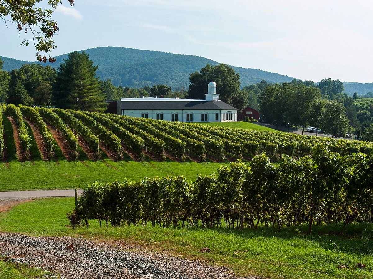 Picture of Barboursville Vineyards