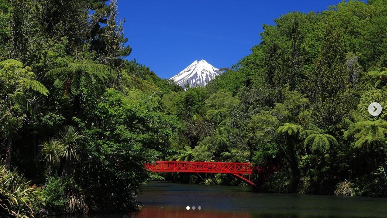 Picture of Pukekura Park
