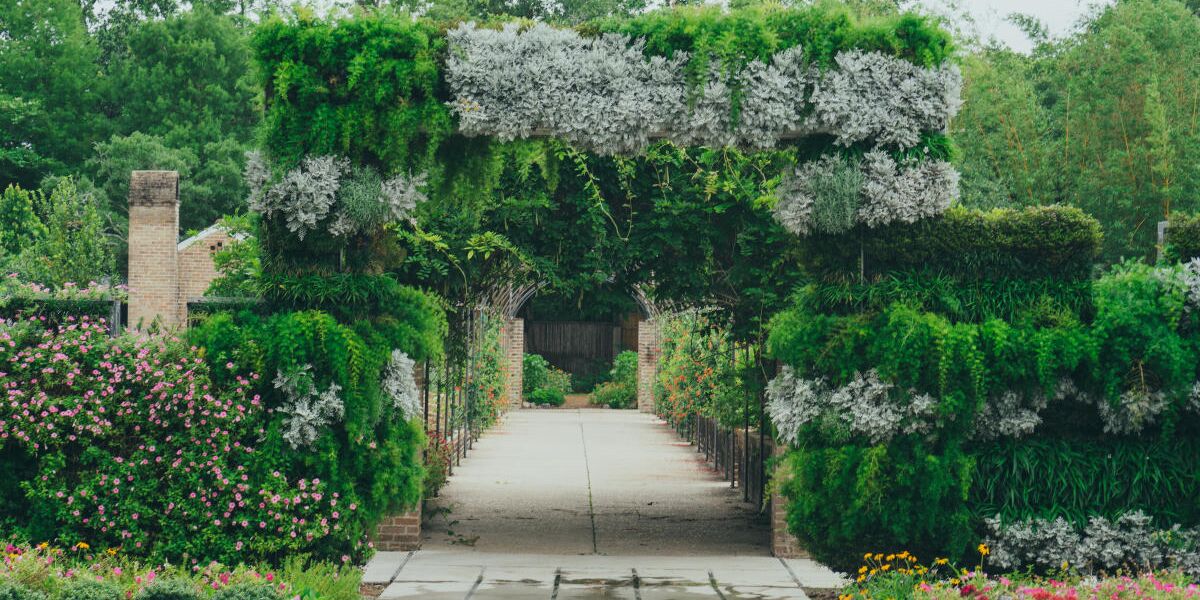 Picture of New Orleans Botanical Garden