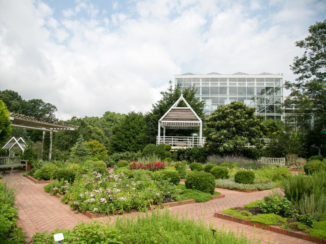 Picture of The State Botanical Garden of Georgia