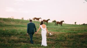 Bride and Groom with Horses at Riverside on the Potomac
