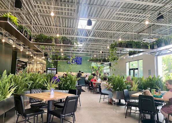 Picture of Wandering Leaf Brewing Company