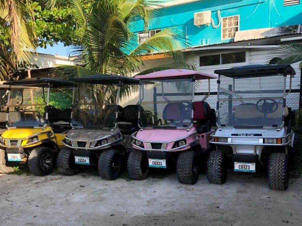Picture of One Love Golf Cart Rental