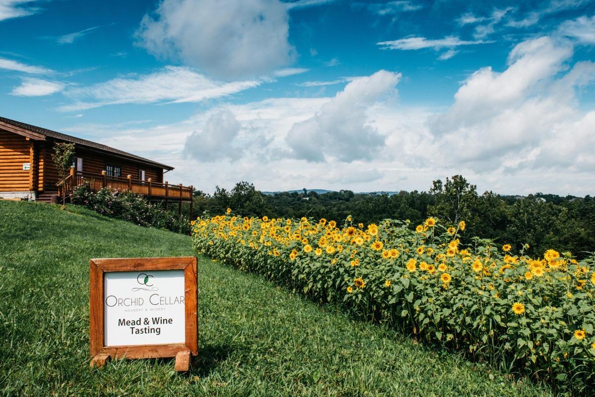 Picture of Beverages & Local Flavor