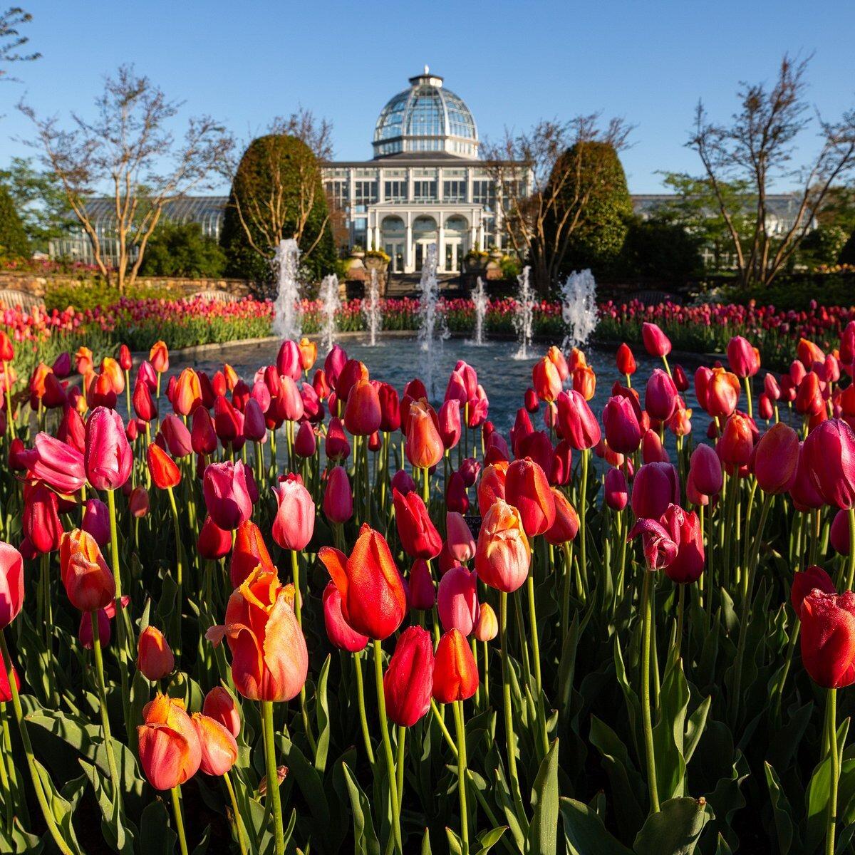 Picture of Lewis Ginter Botanical Garden