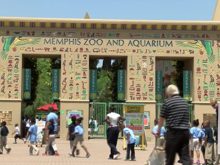 Picture of Memphis Zoo