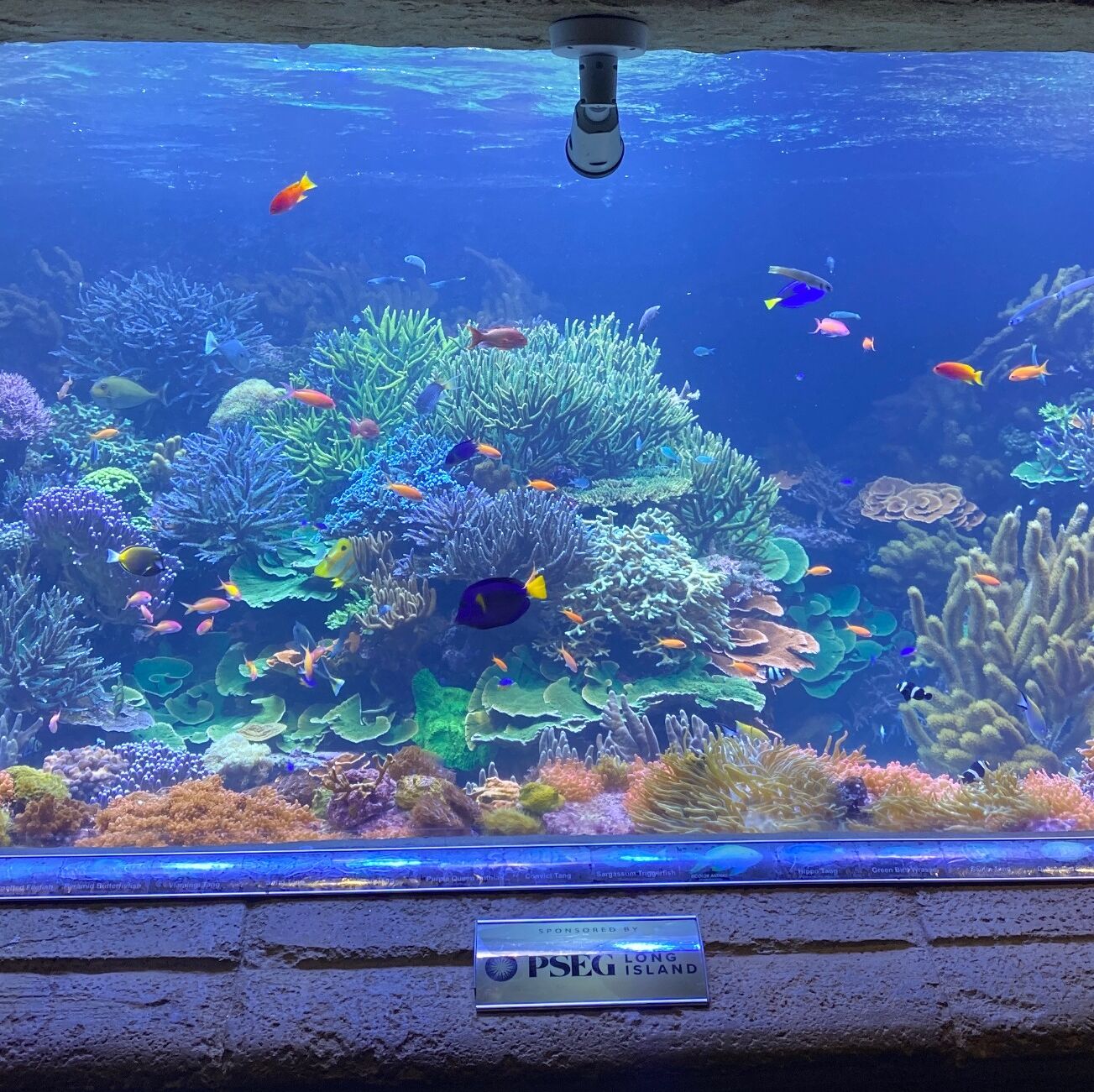 Picture of Long Island Aquarium