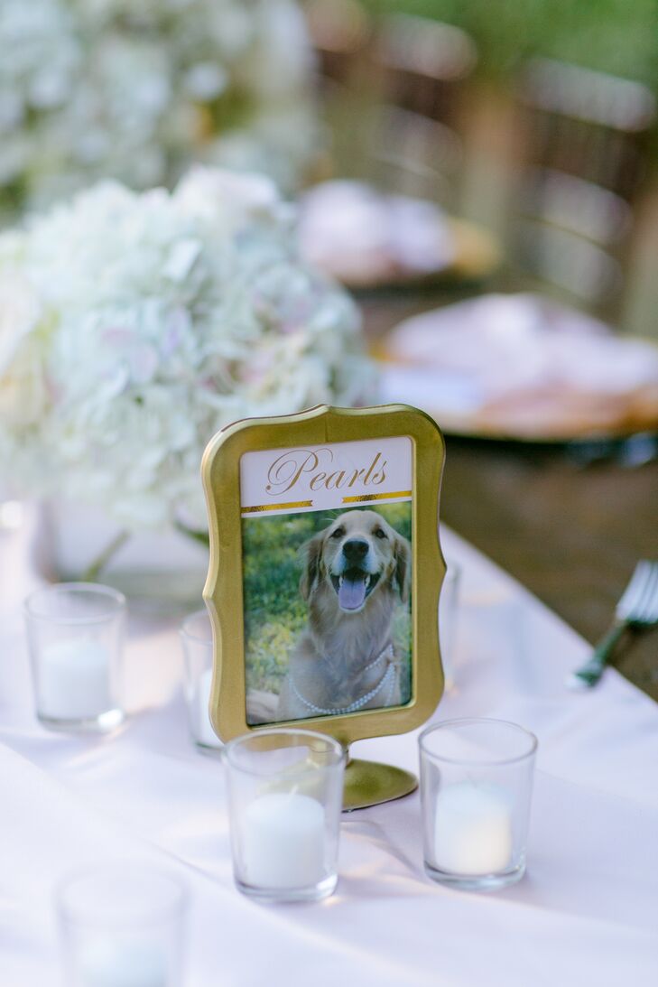 Each and every table name represented a location, pet or item that was special to Lauren and Andy. They placed the memories in standing gold frames. "All the guests commented on how much they loved all the personalization and thought we put into every single decoration,” Lauren says.