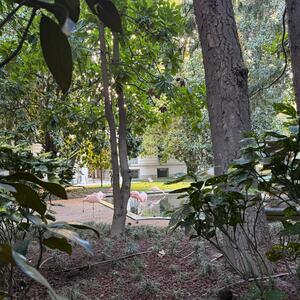 Gallery Photo 8