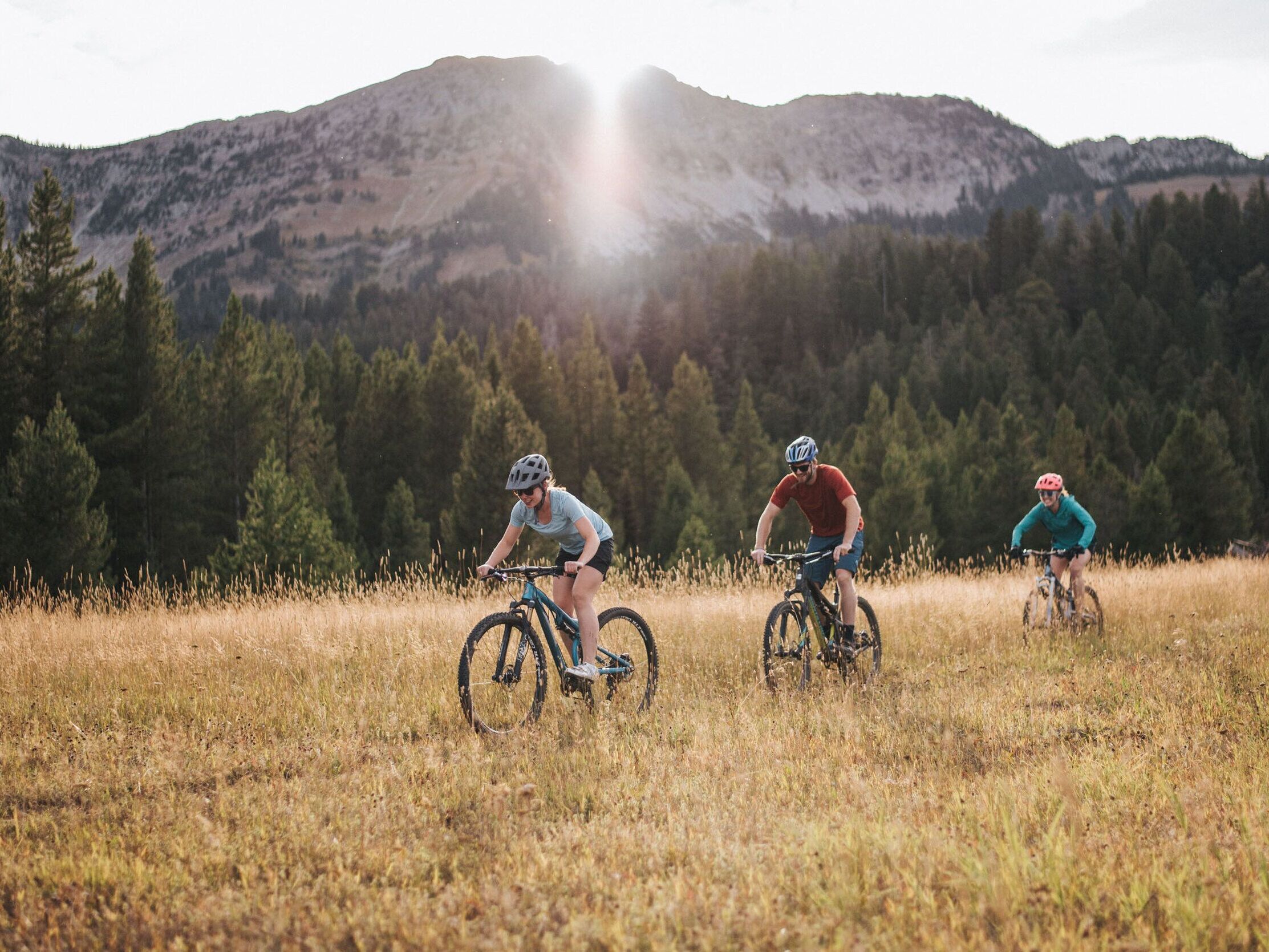 Picture of Mountain Biking