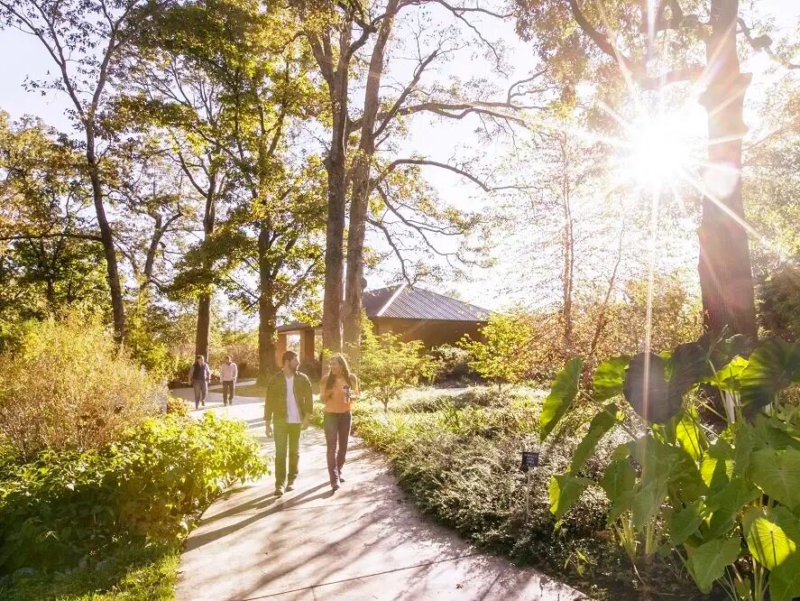Picture of Murray State Arboretum
