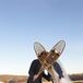 Snow Shoe Couple Portrait