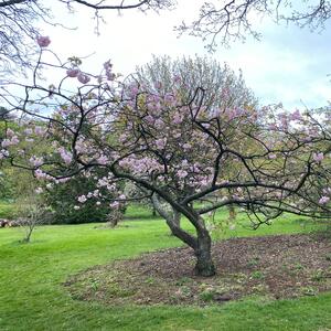 Gallery Photo 53