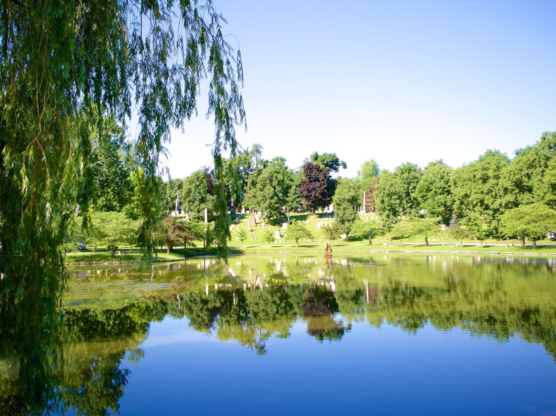 Picture of Forest Lawn