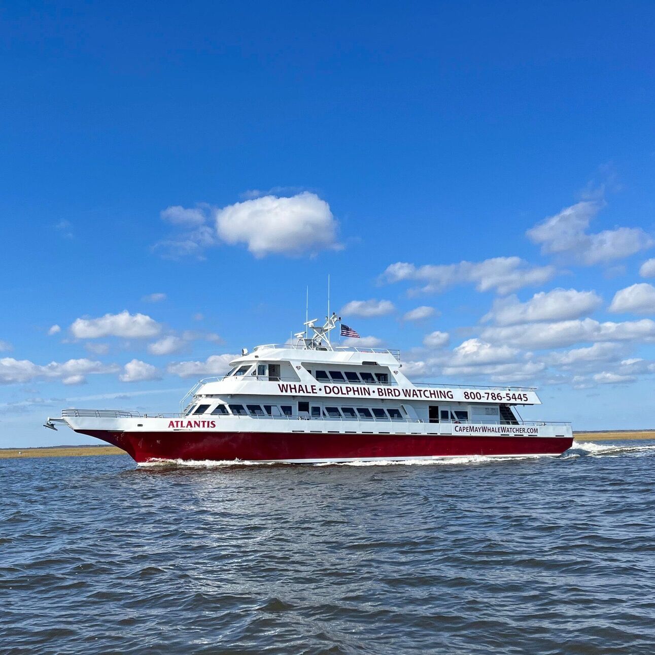 Picture of Cape May Whale Watcher