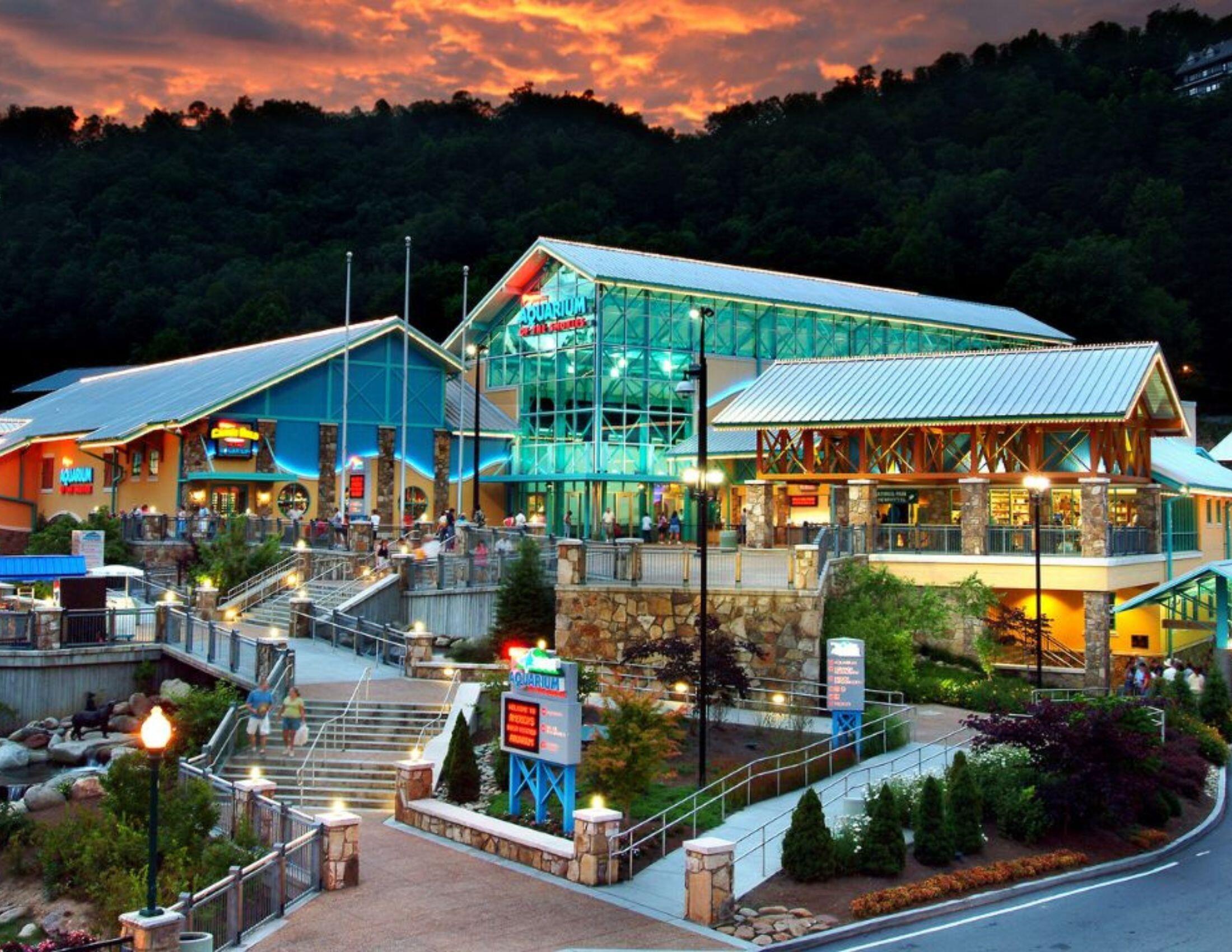Picture of Ripley's Aquarium of the Smokies