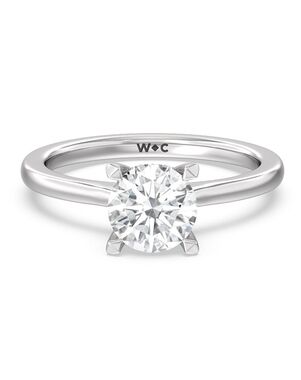 With Clarity Princess, Cushion, Emerald, Pear, Radiant, Round, Oval Cut Engagement Ring