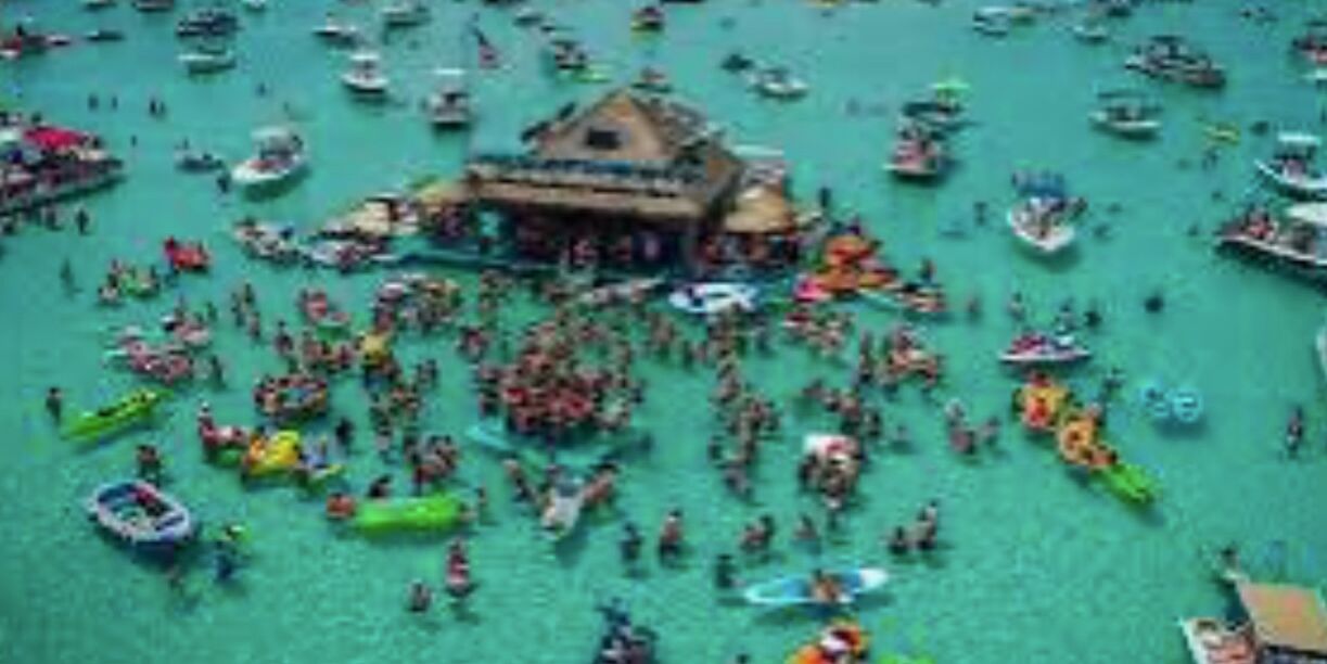 Picture of Crab Island