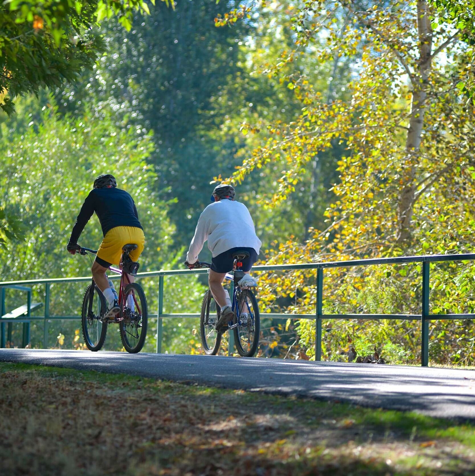 Picture of Boise River Greenbelt