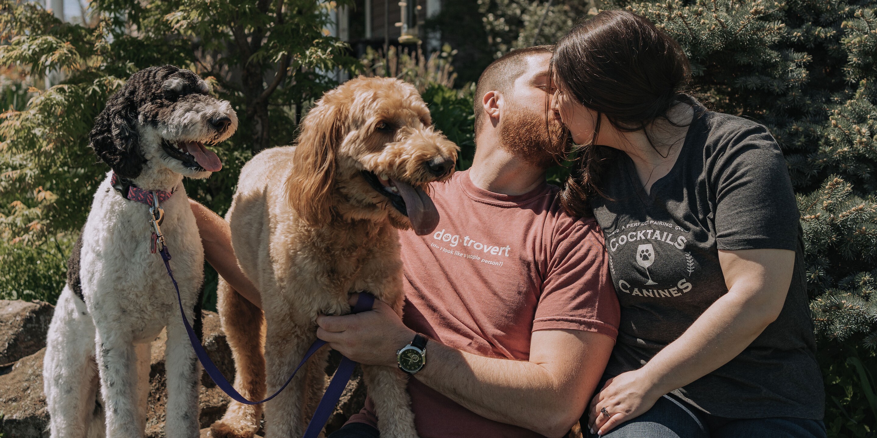 Andrew & Amy Home Page Banner