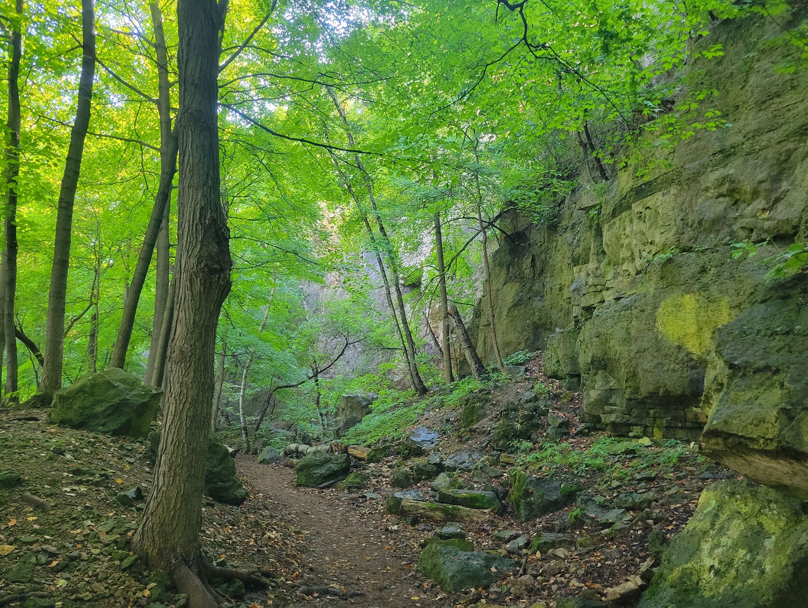 Picture of He Mni Can/ Barn Bluff Trail Head