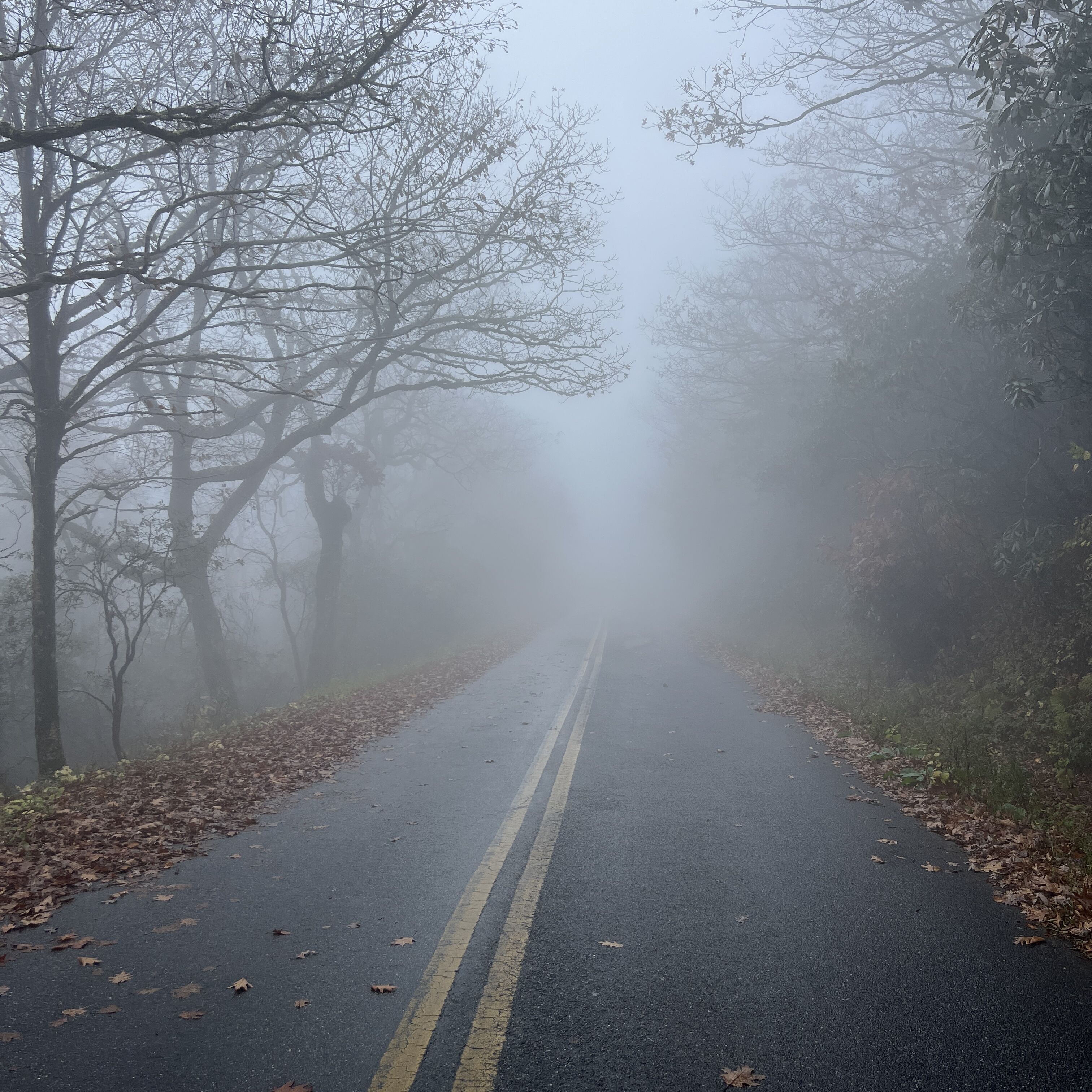 Picture of Brasstown Bald