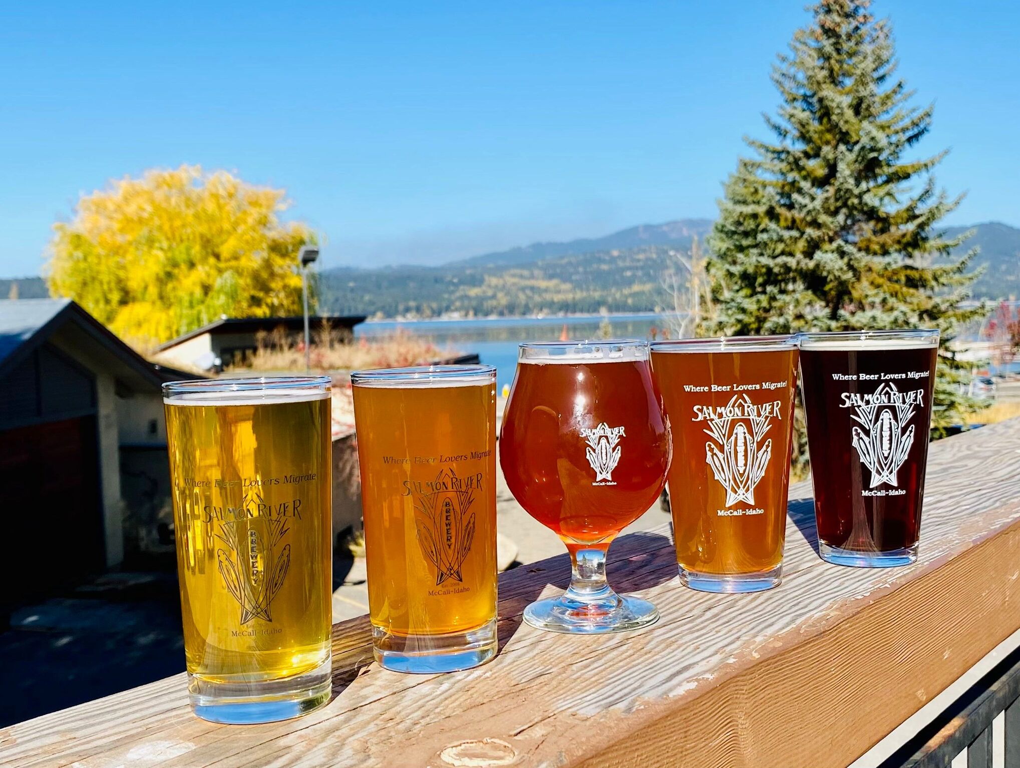 Picture of Salmon River Brewery