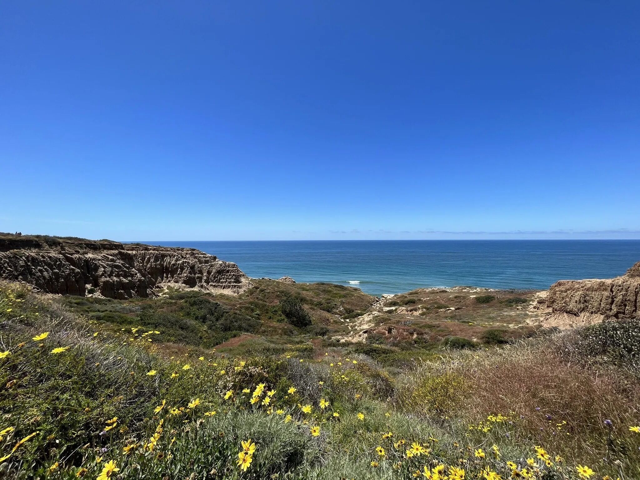 Picture of Torrey Pines State Natural Reserve