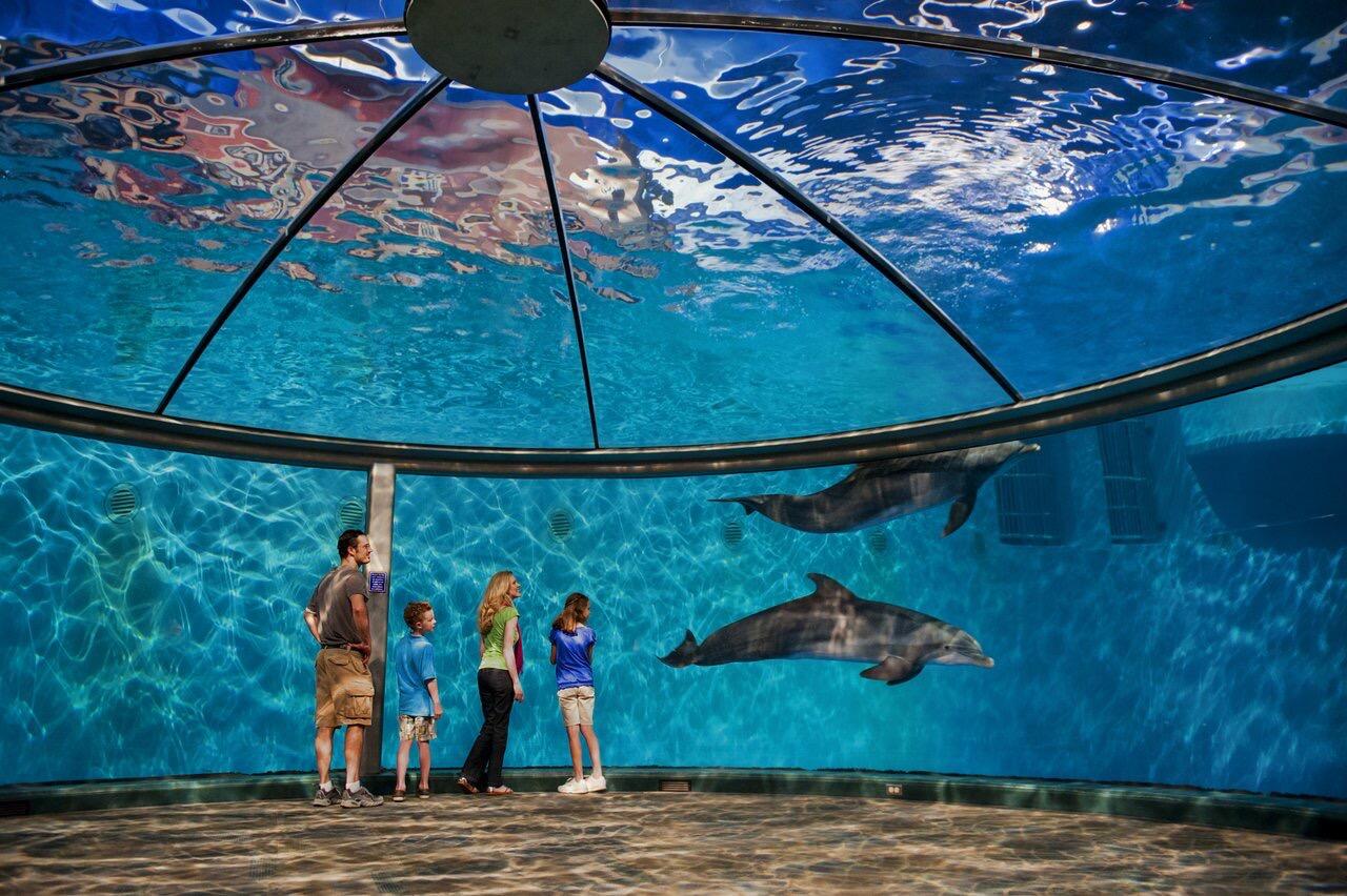 Picture of (Downtown) Indianapolis Zoo