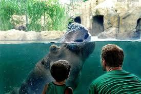 Picture of Cincinnati Zoo & Botanical Garden