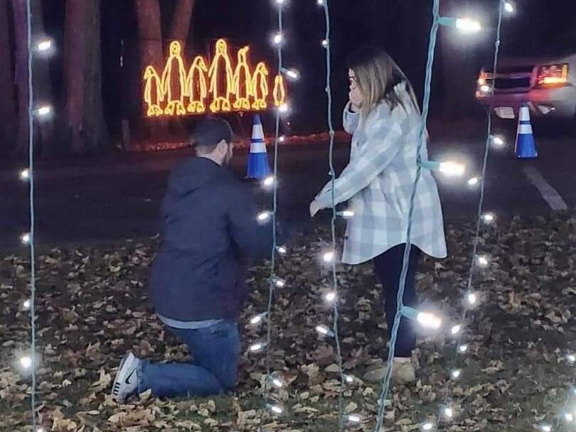 Picture of The Proposal