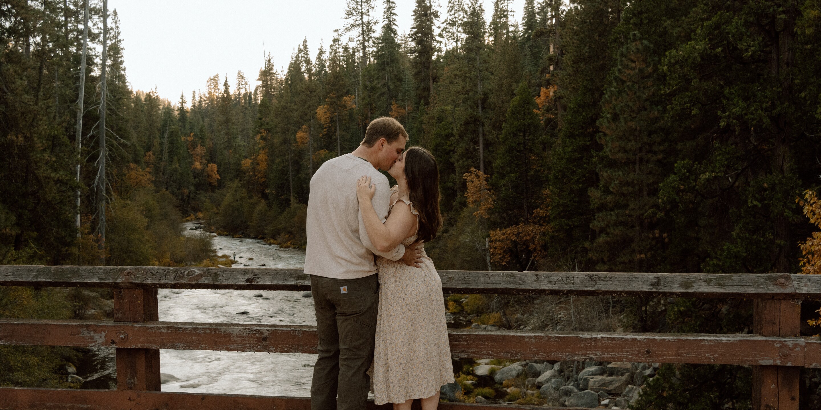 Lindsey & Cole Home Page Banner