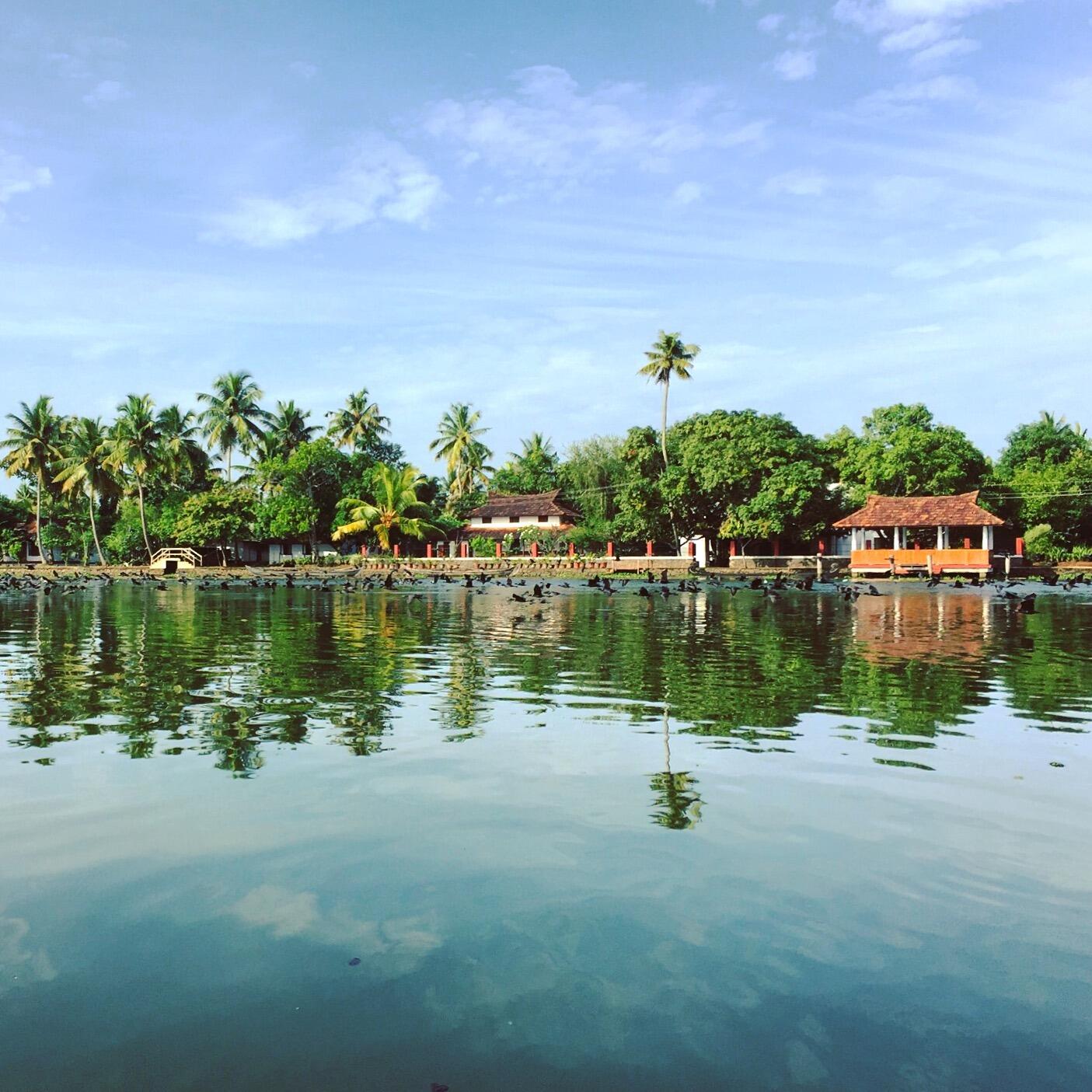 Picture of Kerala Backwaters
