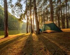 Picture of There are many campgrounds locally in Lee, Newfields & South Hampton, NH
