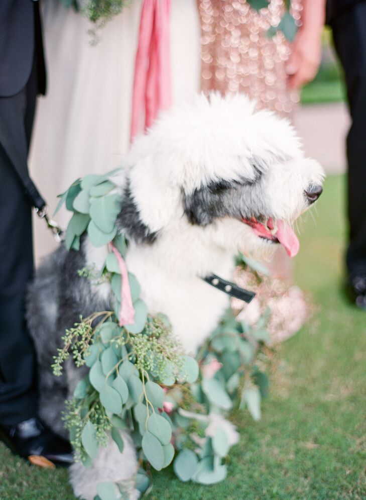 Old English Sheepdog Flower Girl with Eucalyptus