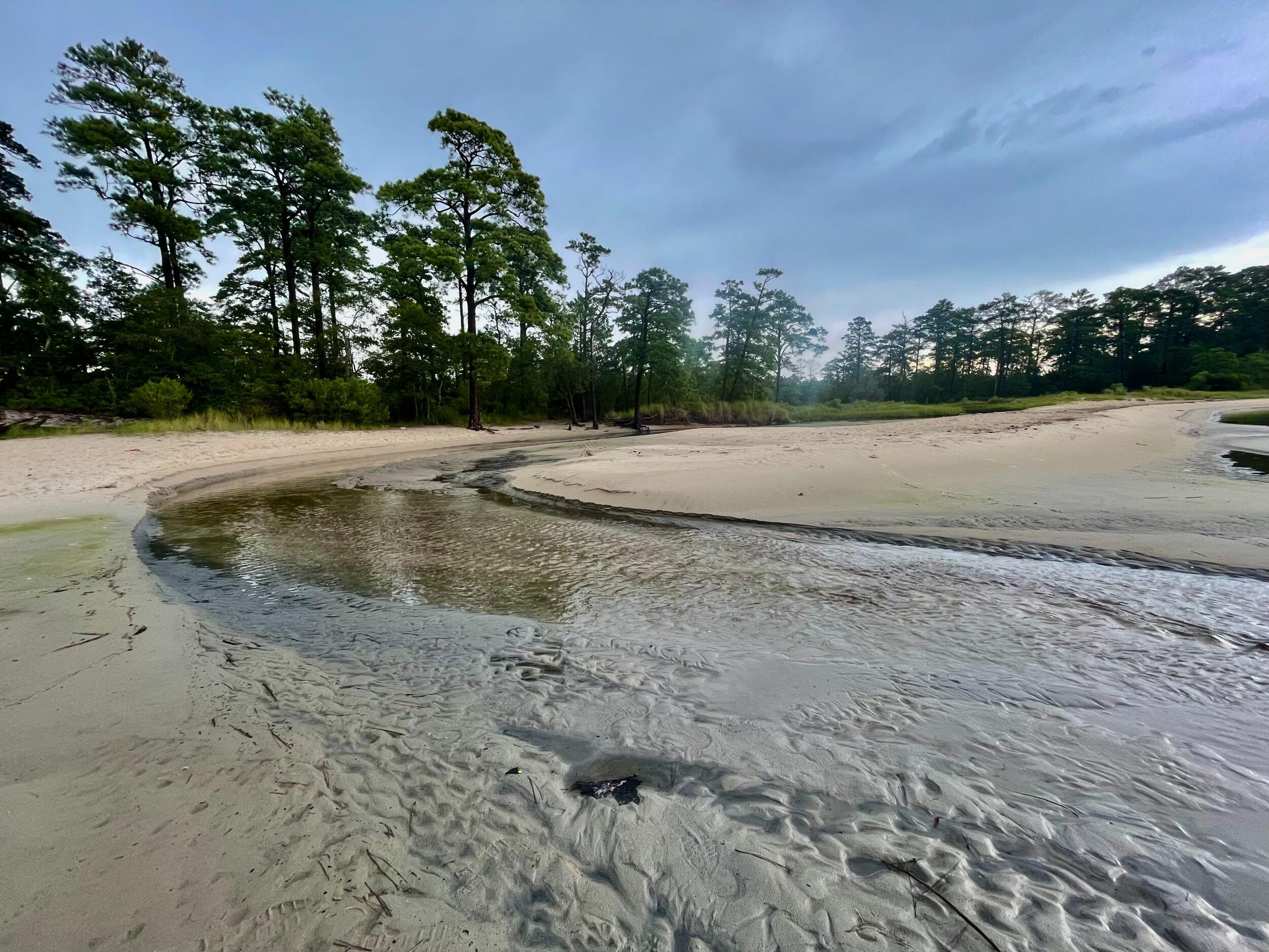 Picture of First Landing State Park