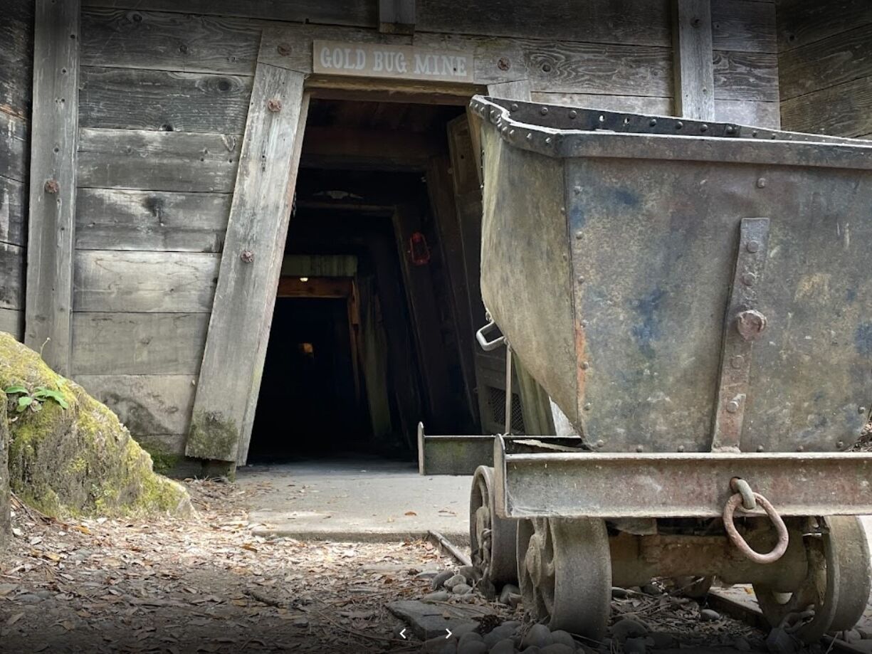 Picture of Gold Bug Park & Mine